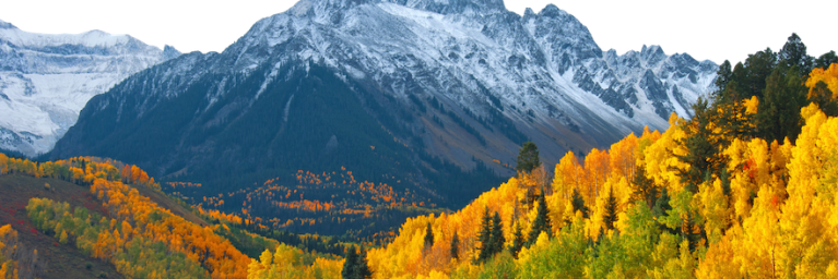 Snow covered mountains with yellow aspens