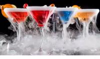 Party Potions Bartending Services