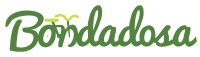 Cursive text of the name Bondadosa with bicycle handlebar styling over the "on"