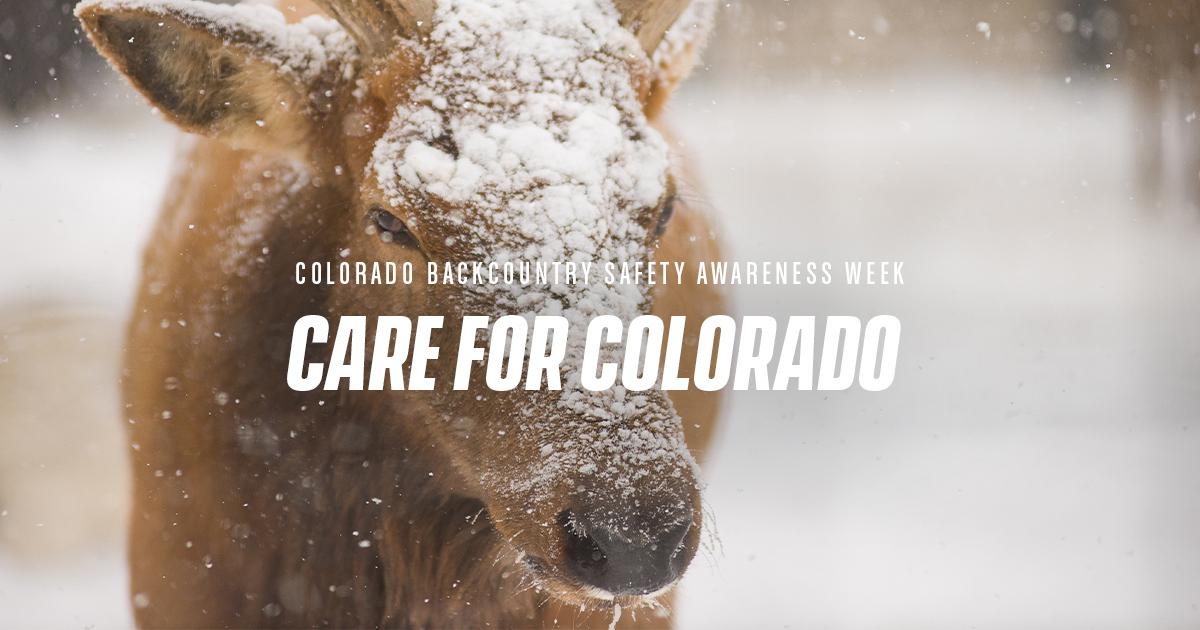 image of a horse with text, "Care for Colorado,"