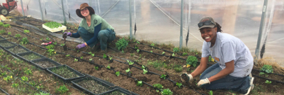 People planting in garden for Guidestone Colorado in Chaffee County