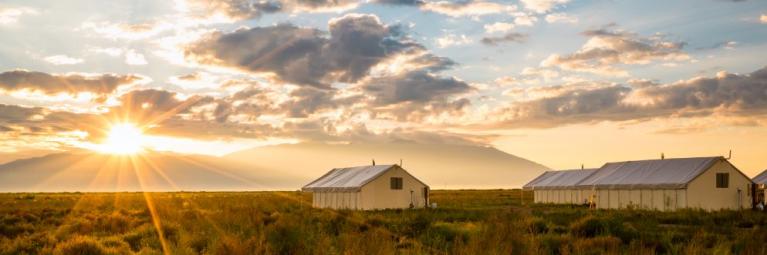 Sunset over the plains