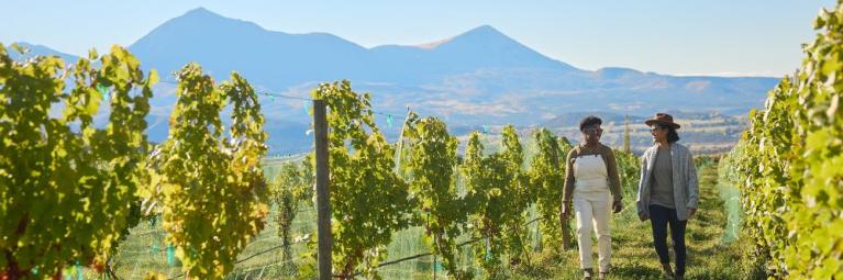 A pair of travelers walk through a Palisade vineyard on a sunny day.