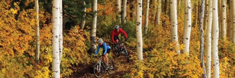 Mountain biking amongst the Aspen