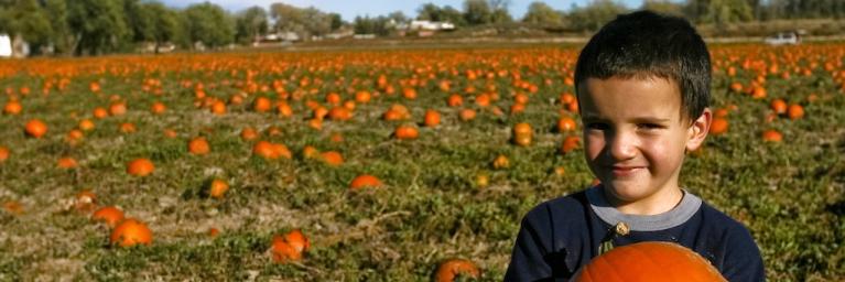 Kid at a pumkin patch in Rio Blanco