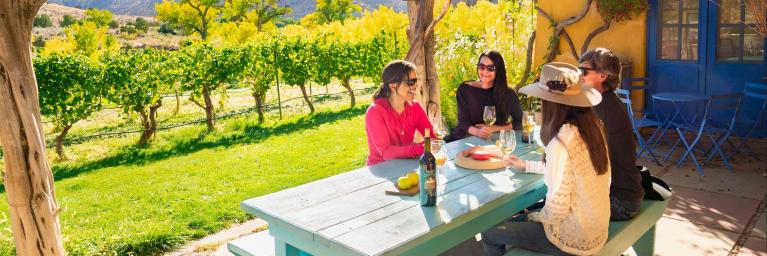 People drinking wine at a vineyard