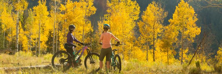 2 mountain bikers over looking fall foliage.