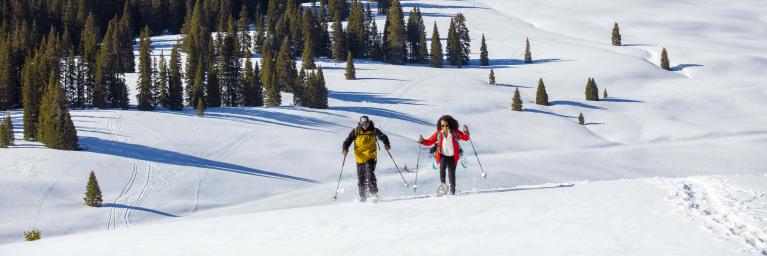 People in the backcountry snowshoeing and having fun