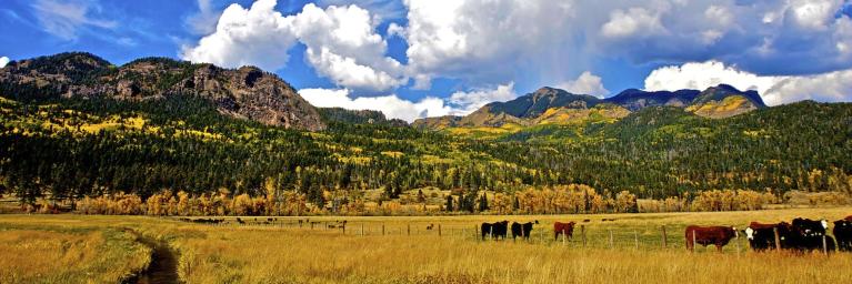 Colorado Agritourism Association