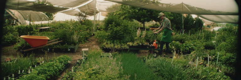 Man working in greenhouse in rural Colorado