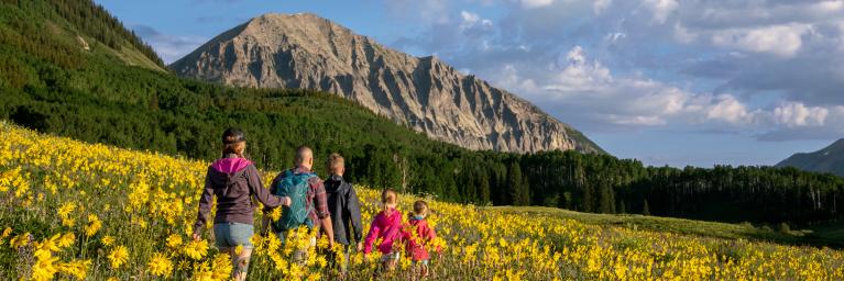 A family of five hikes through a field of yellow flowers
