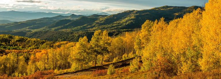 Mountains and yellow aspen trees