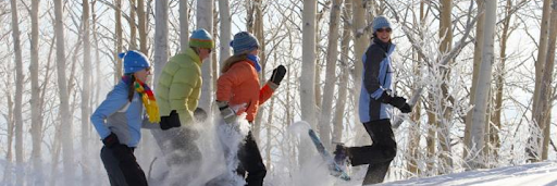 People snowshoeing 