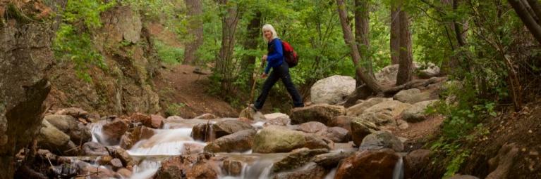 A hiker passes over a rushing stream in the woods.