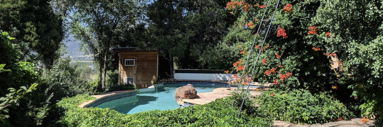 Pond and orange flowers