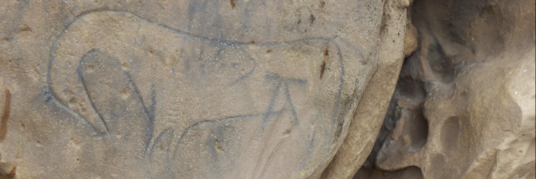 Petroglyph in Canyons & Plains 