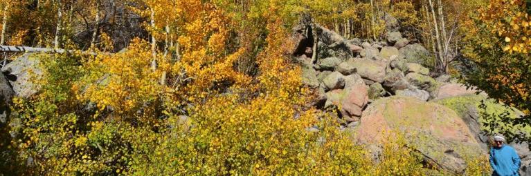 A solo hiker passes by fall foliage in Nederland
