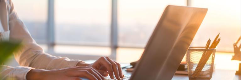 a person on a laptop working