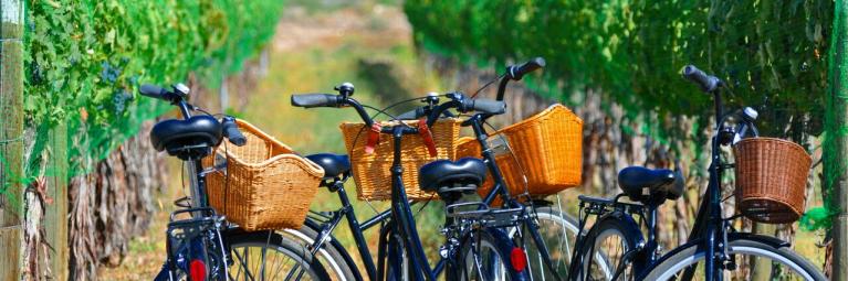 Bikes lined up at a winery in Palisade