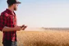 Man looking over wheat fields